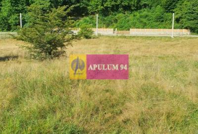 Teren Construcții intravilan de 744 mp, în Periferie - 19