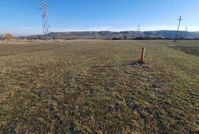 Teren de 2120 mp, în Petrești - 8