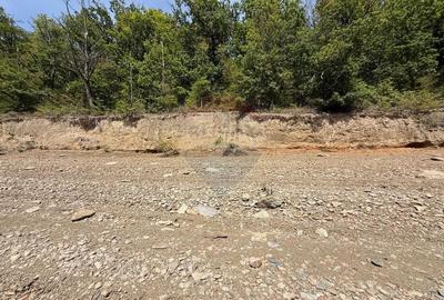 Teren intravilan cu deschidere la lacul Tarnita - 6