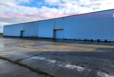 Hale depozit-productie industriala la 20 km de TM - 11