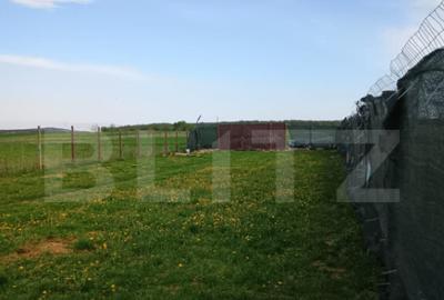 TEREN EXTRAVILAN URLETA , 1310m2 - 3