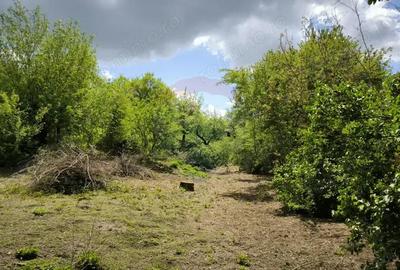 Teren de 3269 mp, în Slimnic - 9