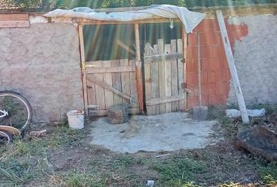 Casă cu 3 camere cu Teren 1480 Mp în Tămașda - 8