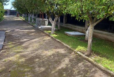 Vanzare casa + anexa + curte foarte spa?ioasa (2550 mp) - 5