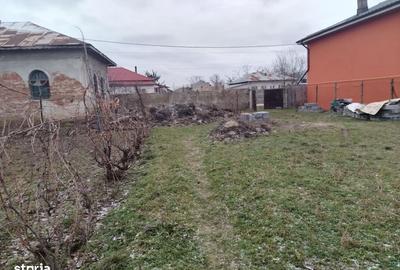 Spațiu comercial, în Coșoveni - 5