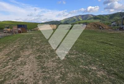 Teren Construcții intravilan de 4316 mp, în Sadu - 2