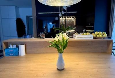 Apartament 3 camere ,68 mp+40 mp terasa, finisat  si mobilat,in cart Europa - 12