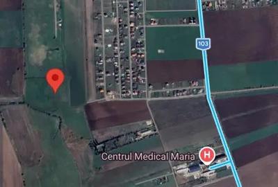 Teren de 7000 mp, în Bod - 2