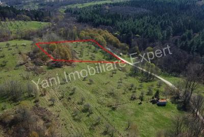 Teren de vanzare in Curtea de Arge?, strada Bu?aga. Teren de vanzare in Curtea de Arge?, strada Bu?aga. - 5