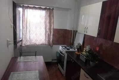Ap decent 1 cam spatios cu termoteca Vlaicu