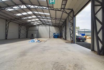 Spațiu comercial, de 590 mp, în Giarmata - 4