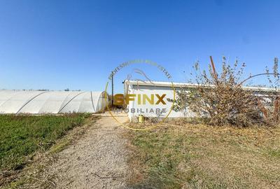De vanzare ferma Calarasi in stare de conservare - sere - livada - 4