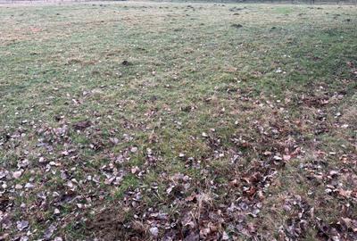 Spațiu comercial, în Horodnic