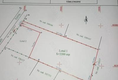 Teren de 4400 mp, în Cărpiniș - 4