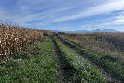 Teren de vanzare in Harman 4,4 Hectare - 6