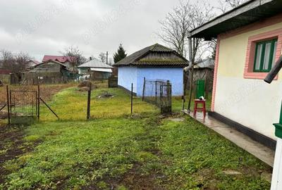 Casa batraneasca cu anexe si teren in Viisoara, intravilan - 2
