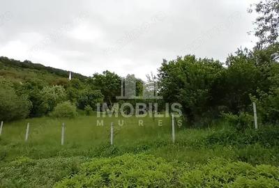 Teren de 994 mp, în Budiu Mic - 3