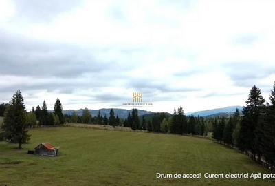 Teren 2804 mp, la munte! In Bucovina Fundu Moldovei! - 24