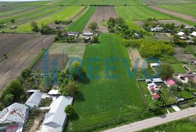 Teren de 5351 mp, în Roșiori - 12