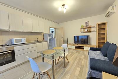 Apartament cu 2 camere, mobilat în Parcul Carol - 2