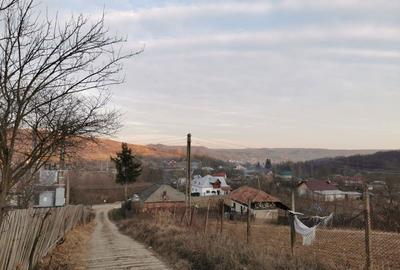 Teren de 6000 mp, în Priboieni