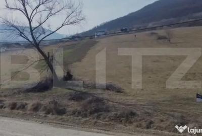 Teren în Viișoara - 4