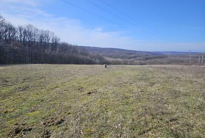 Teren de 10600 mp, în Hidiș - 2