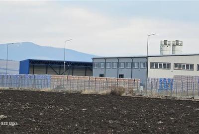 Teren Construcții extravilan de 30700 mp, în Feldioara - 10