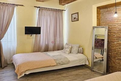 Zona Centrala Recent Renovat
