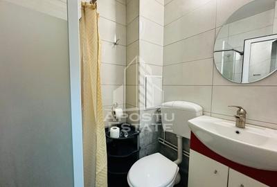 Garsonieră semidecomandată, mobilată în 6 Vânători - 3