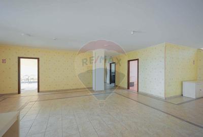 Hala, magazin ?i birouri de Inchiriat, Zona Metro, Su=... - 13