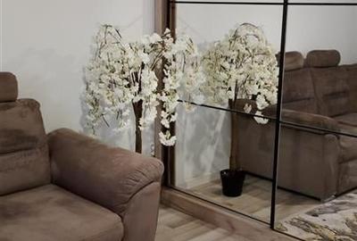 Apartament 1 camera Lunca Cetatuii - 1