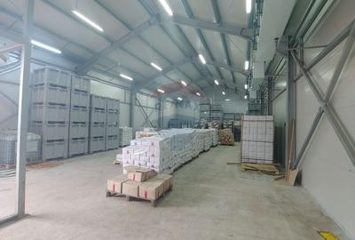 Spațiu industrial, de 292 mp, în Dumbrăveni - 12