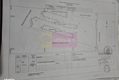 Teren de 94000 mp, în Bradu - 4