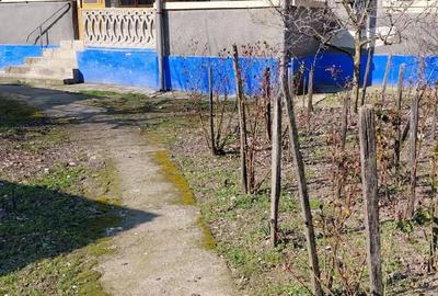 Casă cu 5 camere cu Teren 3000 Mp în Salcia - 2