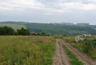 Teren de 2000 mp, în Păcurari - 7