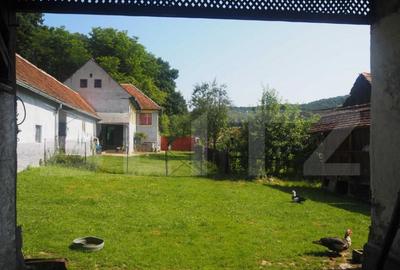 Casă cu 5 camere cu Teren 11930 Mp în Central - 7