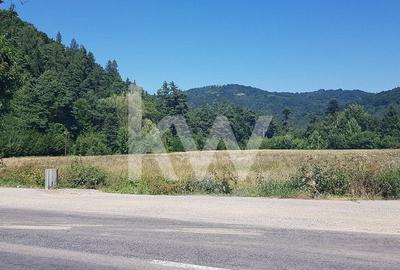 Teren Construcții intravilan de 19380 mp, în Brădet - 4