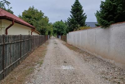 Vladiceasca, Snagov - 10