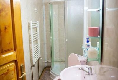 Statiunea turistica Leresti, Judetul Arges - 12