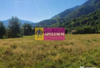 Teren de 744 mp, în Brezoi - 3