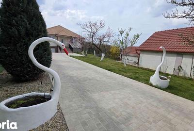 Casă cu 3 camere cu Teren 1008 Mp în Sânmartin - 15