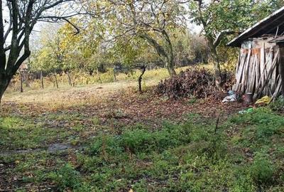 Casă cu 3 camere cu Teren 2493 Mp în Pădina
