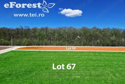 Teren în Central - 10