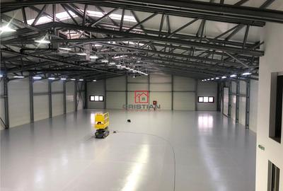 Depozit/hala/spatiu industrial Theodor Pallady - Drumul Int - 12