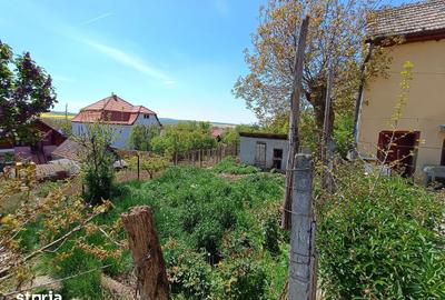 Casă cu 3 camere cu Teren 260 Mp în Central - 3