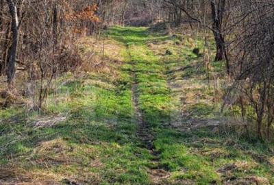 Casă cu 1 camere cu Teren 5400 Mp în Central - 1