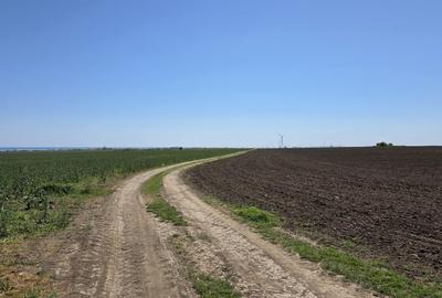 Teren agricol extravilan de 2000 mp, în Corbu - 5