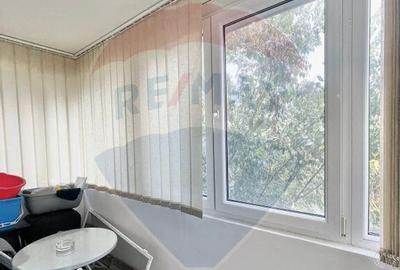 Apartament cu 2 camere str. Pridvorului parc Tineretului - 9