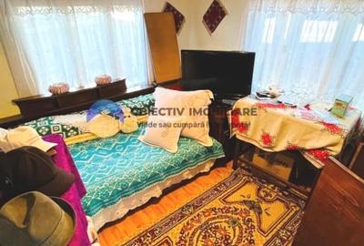 Casa traditionala cu teren de vanzare – Comuna Ștefan cel Mare - 4